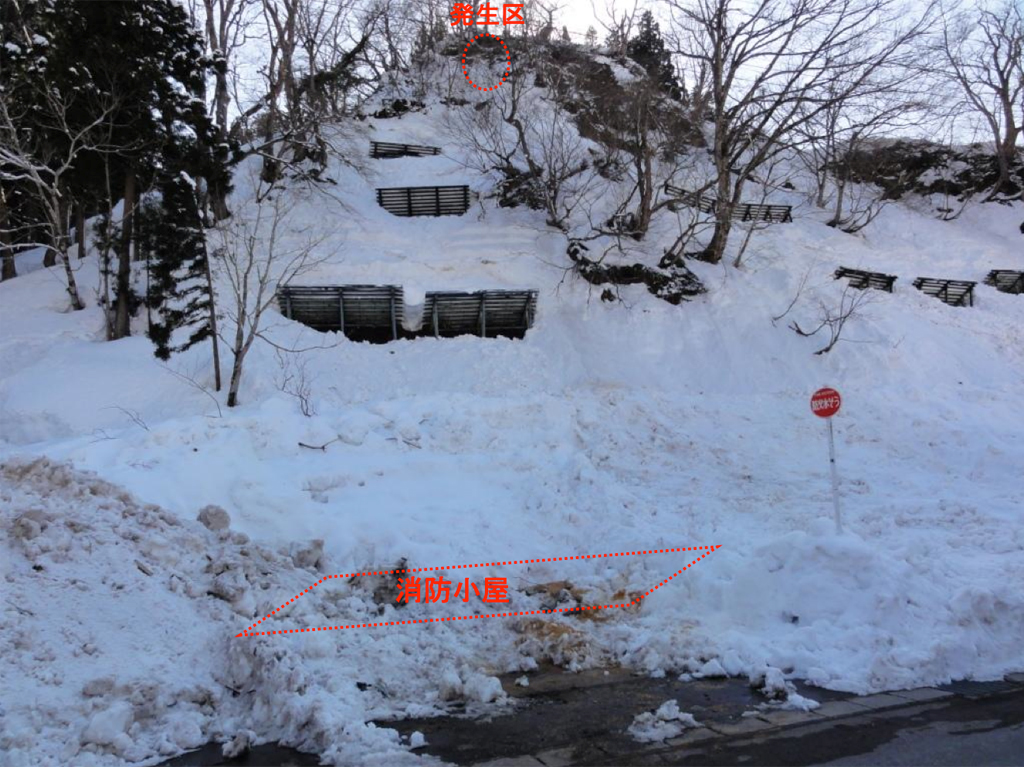 写真1 雪崩発生現場の状況(3月14日撮影)