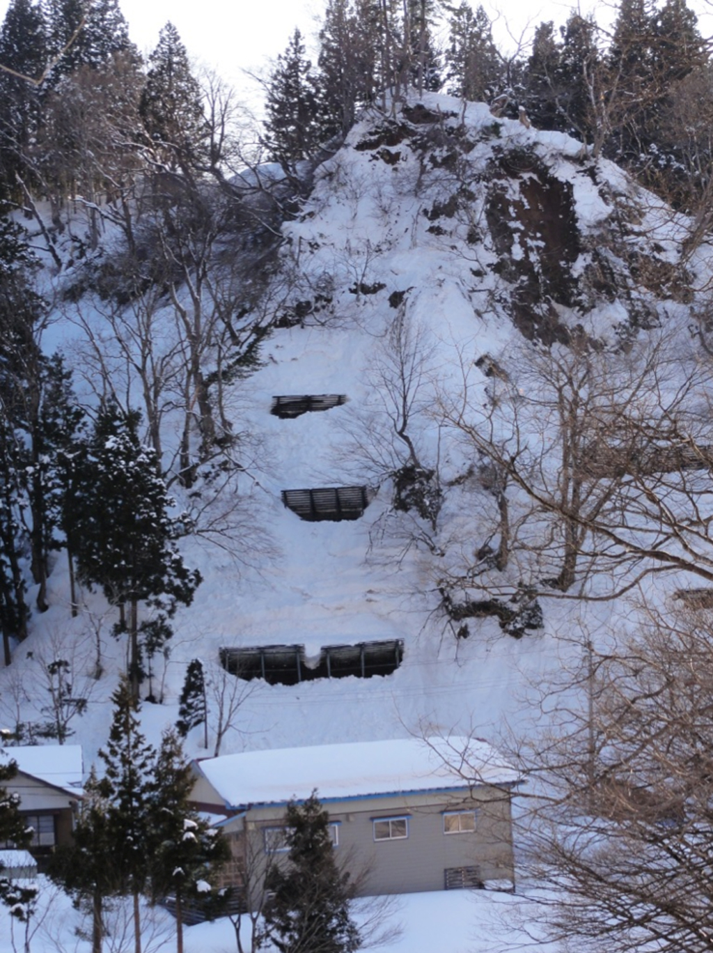 写真2 雪崩斜面の状況(3月14日)撮影