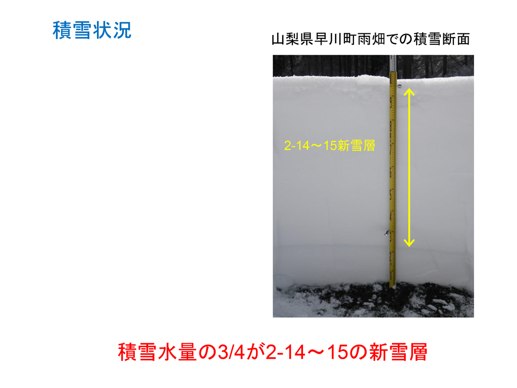 2014年2月中旬の大雪により関東甲信地域で多発した雪崩災害の緊急調査報告03