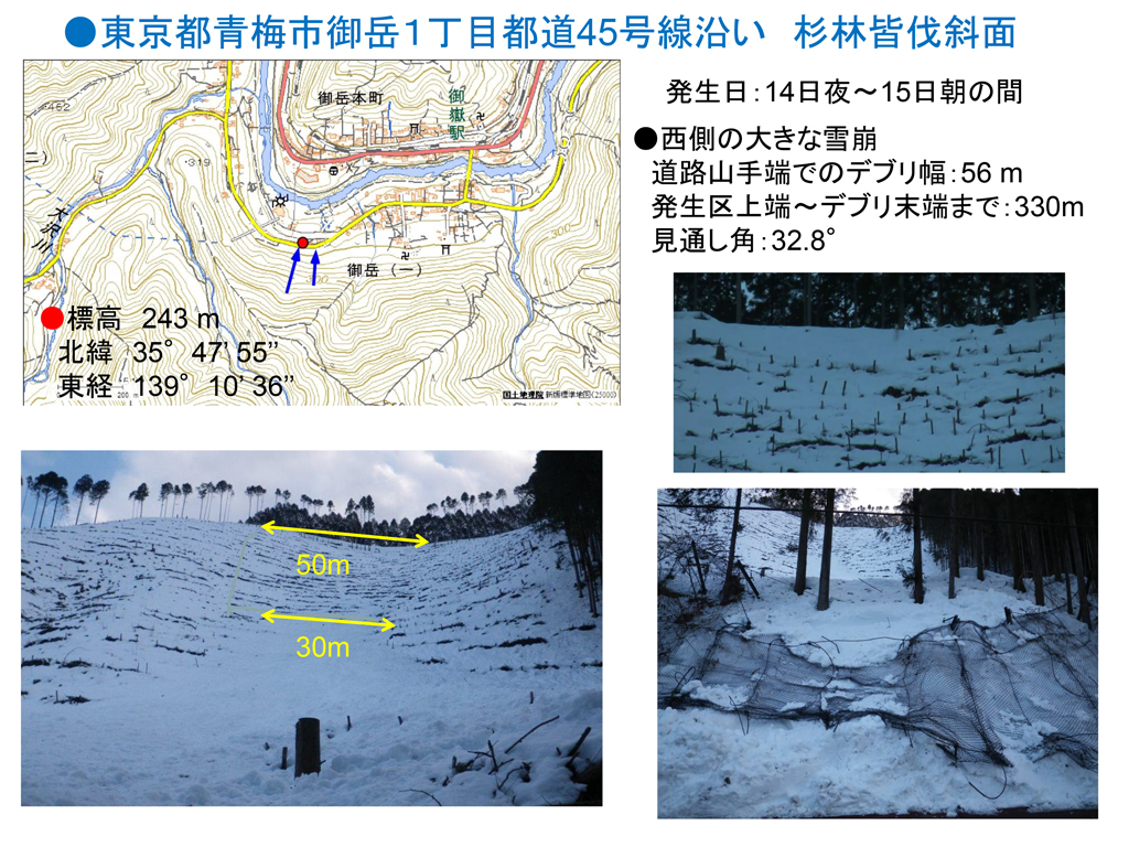 2014年2月中旬の大雪により関東甲信地域で多発した雪崩災害の緊急調査報告13