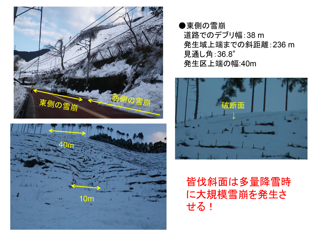 2014年2月中旬の大雪により関東甲信地域で多発した雪崩災害の緊急調査報告14