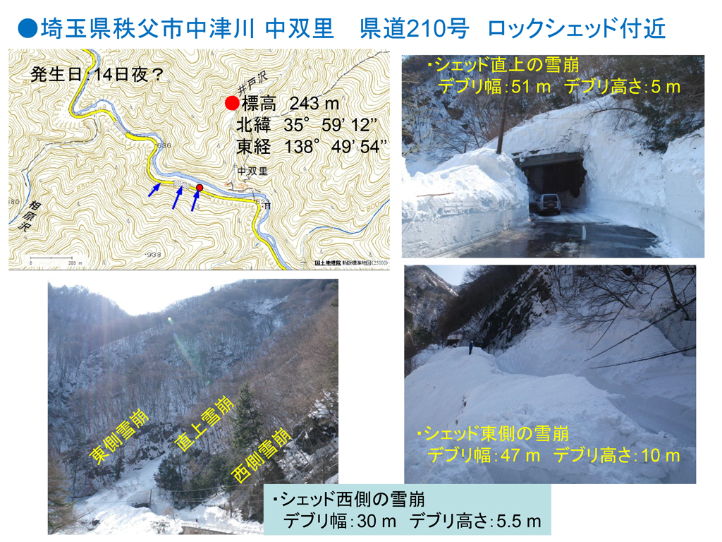 2014年2月中旬の大雪により関東甲信地域で多発した雪崩災害の緊急調査報告16