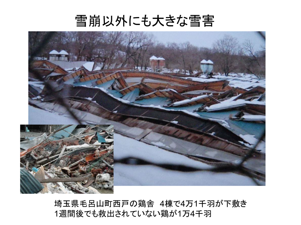 2014年2月中旬の大雪により関東甲信地域で多発した雪崩災害の緊急調査報告18