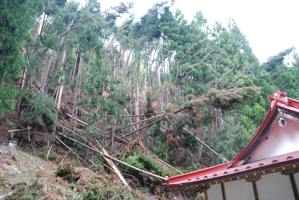 図9 秋山川流域(佐野市秋山町:図1のLoc. 7)における被害状況.