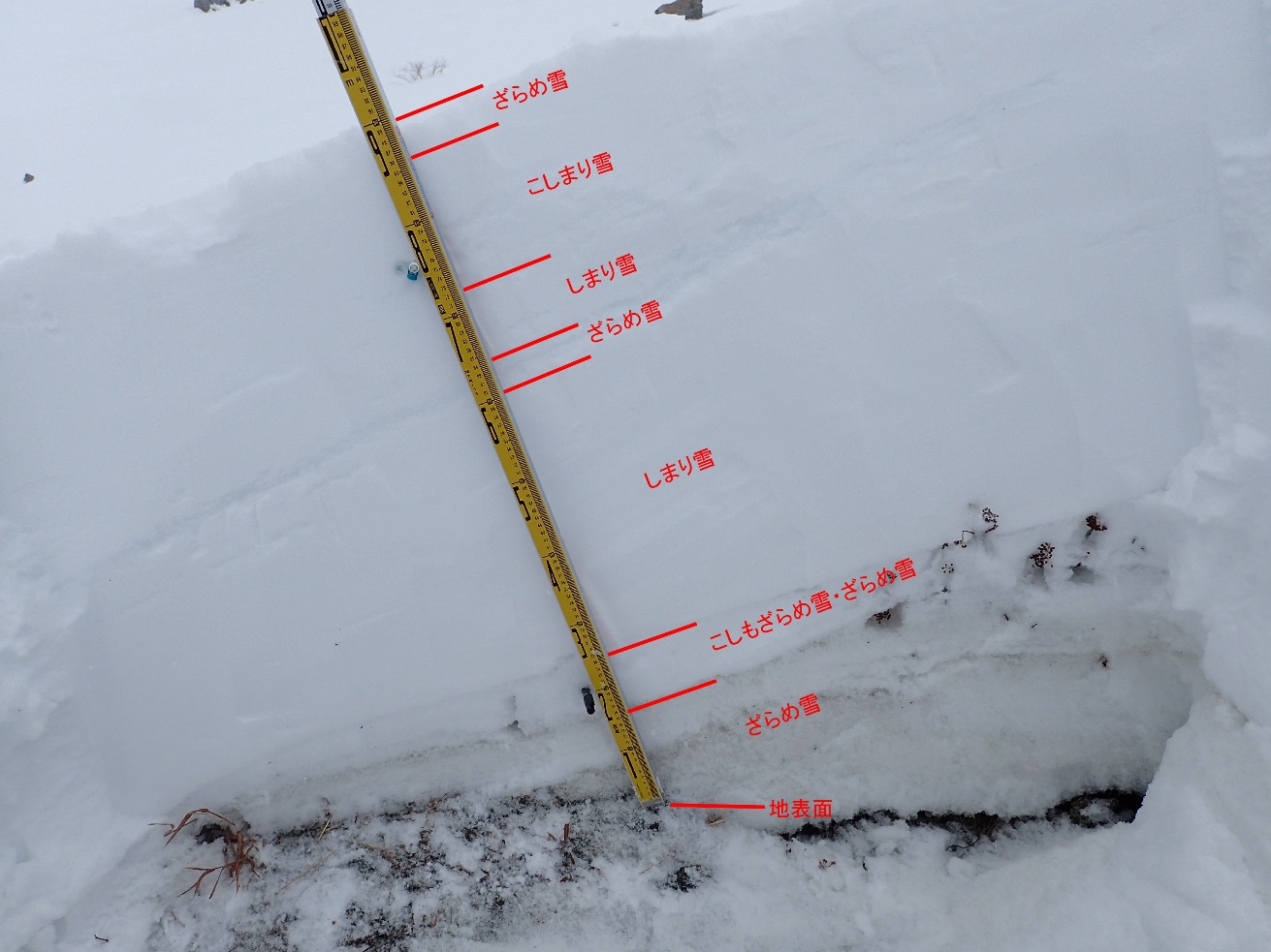 図5 那須岳南東斜面(標高1716 m)における積雪断面観測.
