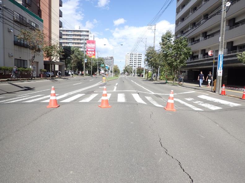 道路路面の陥没被害.下水道等埋設部の埋め戻し部分が沈下している.