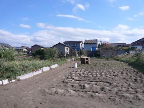 畑地における物置の飛散（村松浜地区：地点M002）
