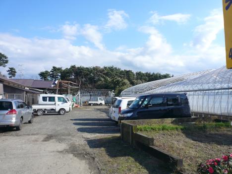 作業場屋根とビニールハウスの損壊（中村浜地区：地点N012）