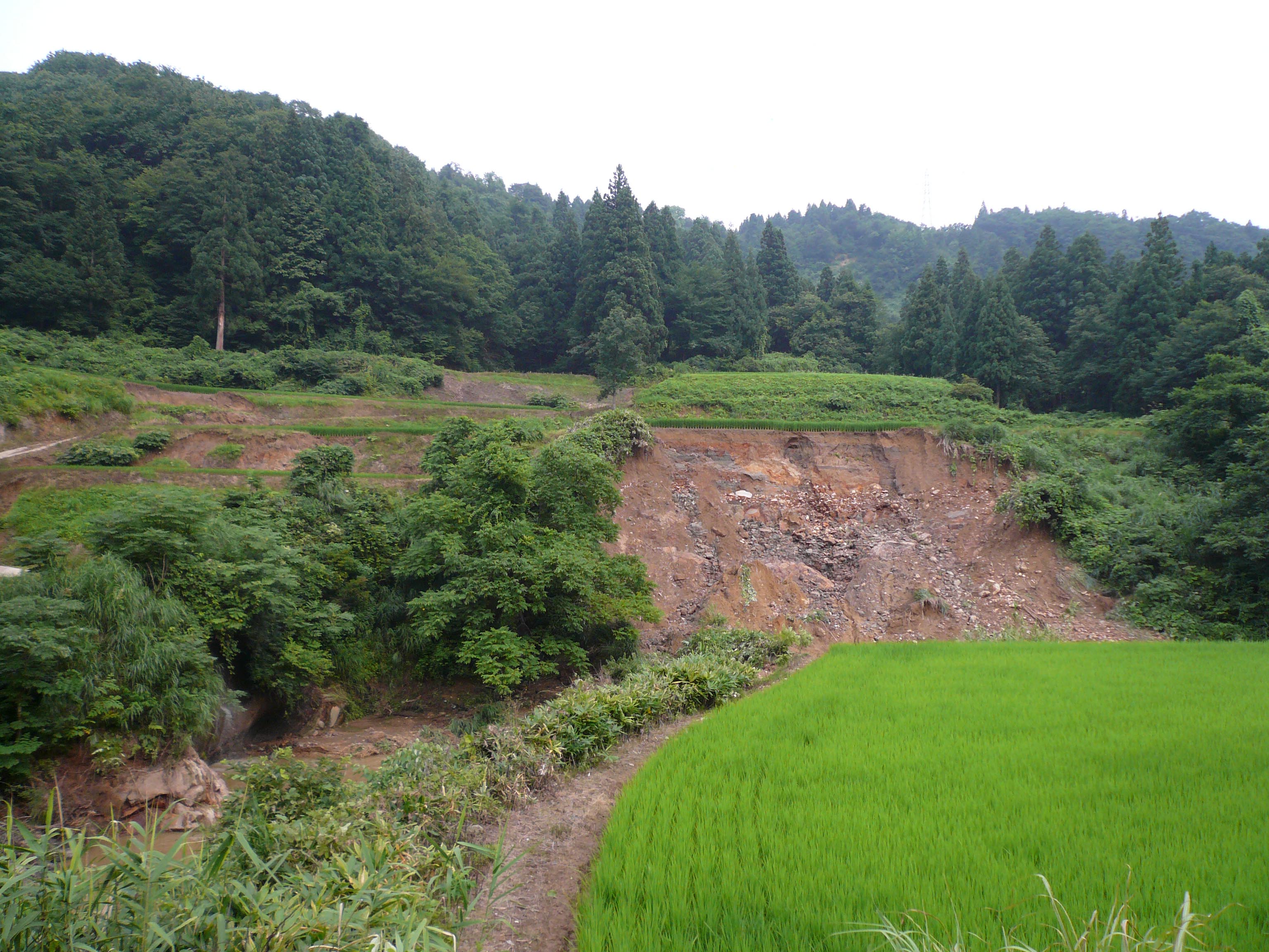 写真17 棚田の崩壊: 渓岸の崩壊による農地被害もあるが,降水が畦畔を越流したことによる畦畔の崩壊も多発している.中越地震の被災地でもあり,棚田(農地)復旧への支援が必要.