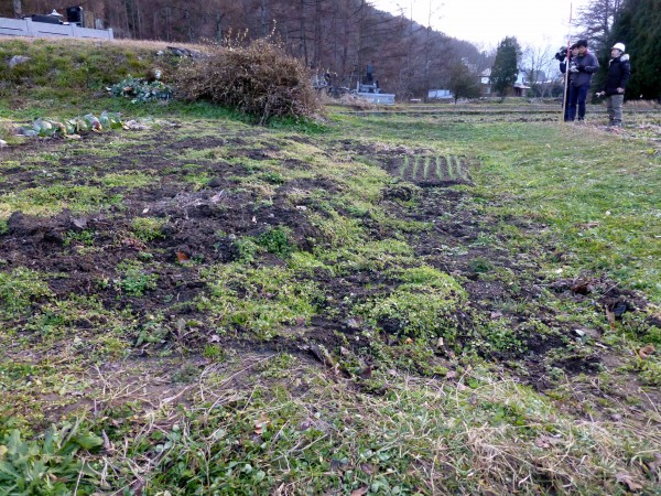 2014年11月22日に発生した長野県白馬村を震源とする地震災害