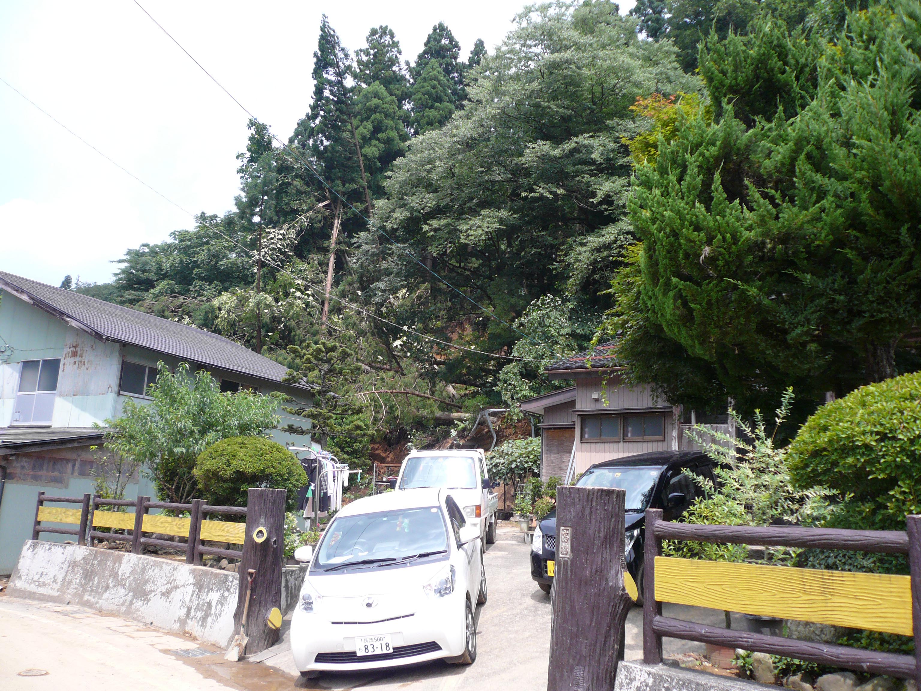 写真8 集落中央部の斜面崩壊: 谷の縁辺部では比高が高いため,浸水被害は軽微であるが,住宅裏の斜面が表層崩壊している.