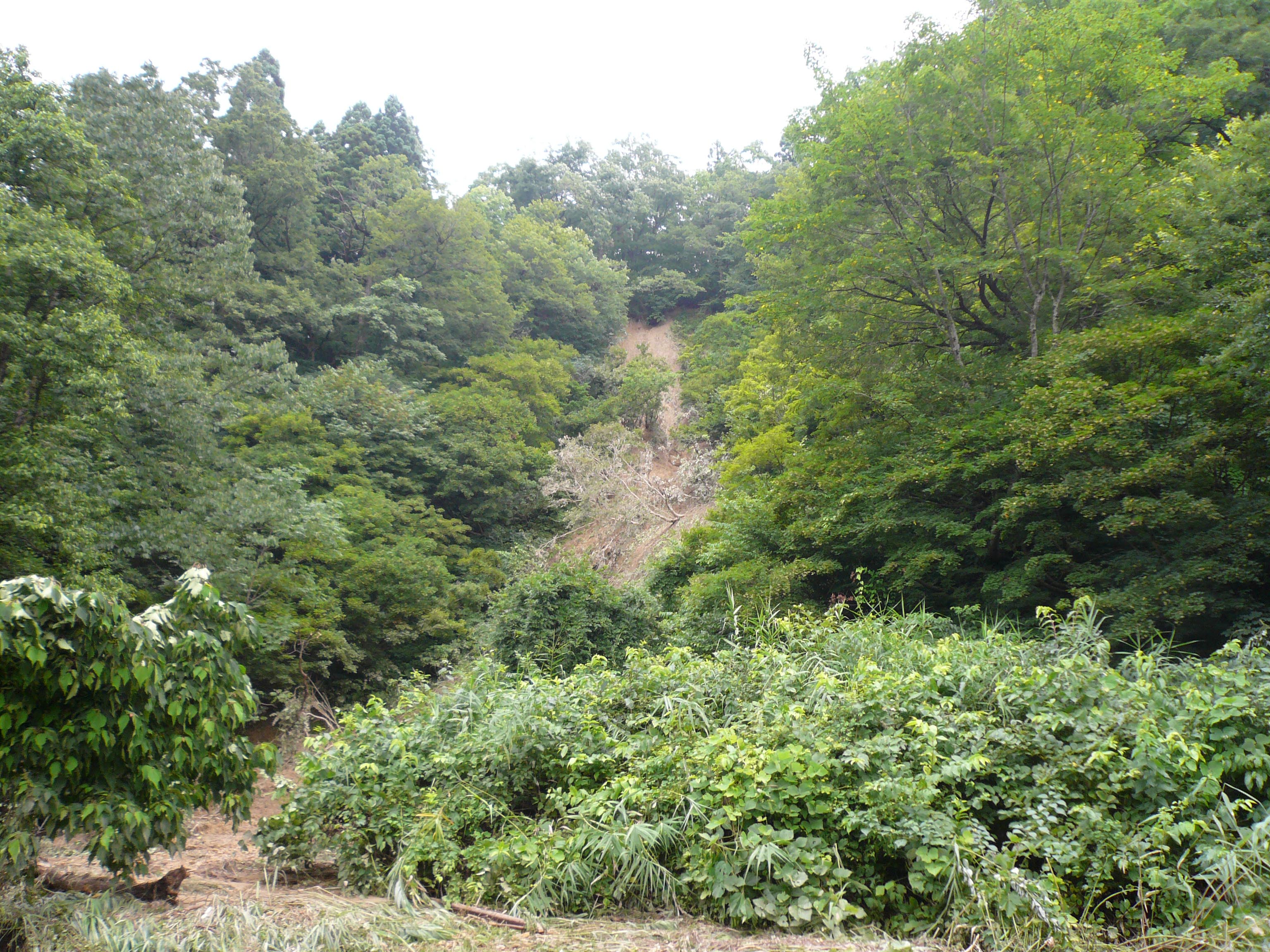 写真1 乙吉川下流部(集落内での下流部)の被害状況