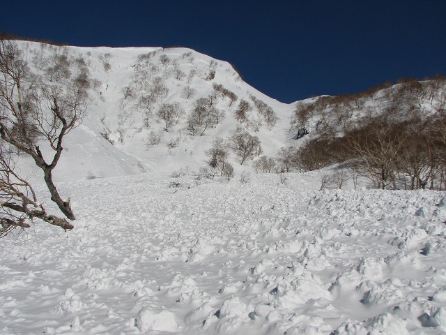 雪崩画像